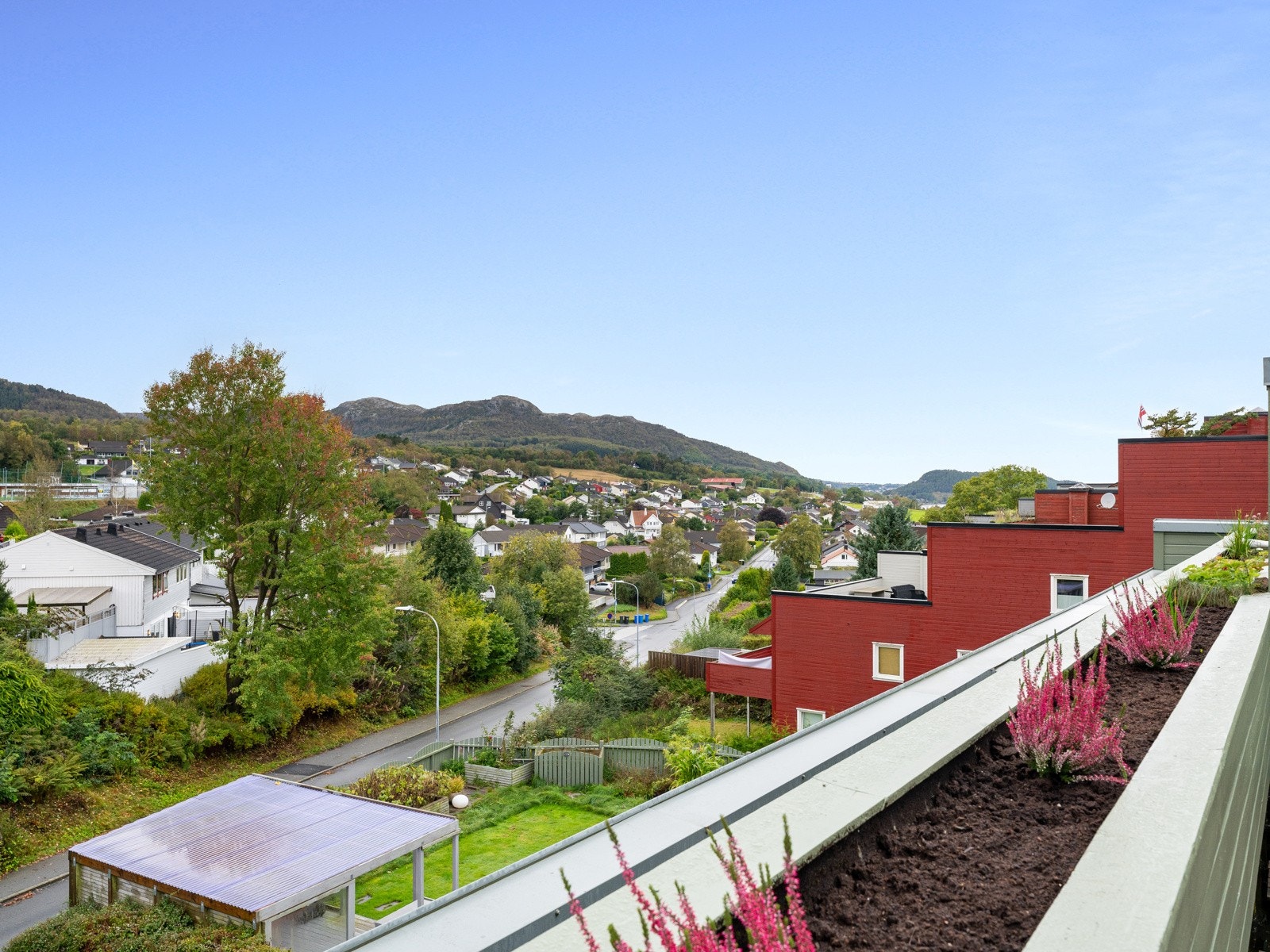 Nydelig utsikt mot Lifjell Galleribilde