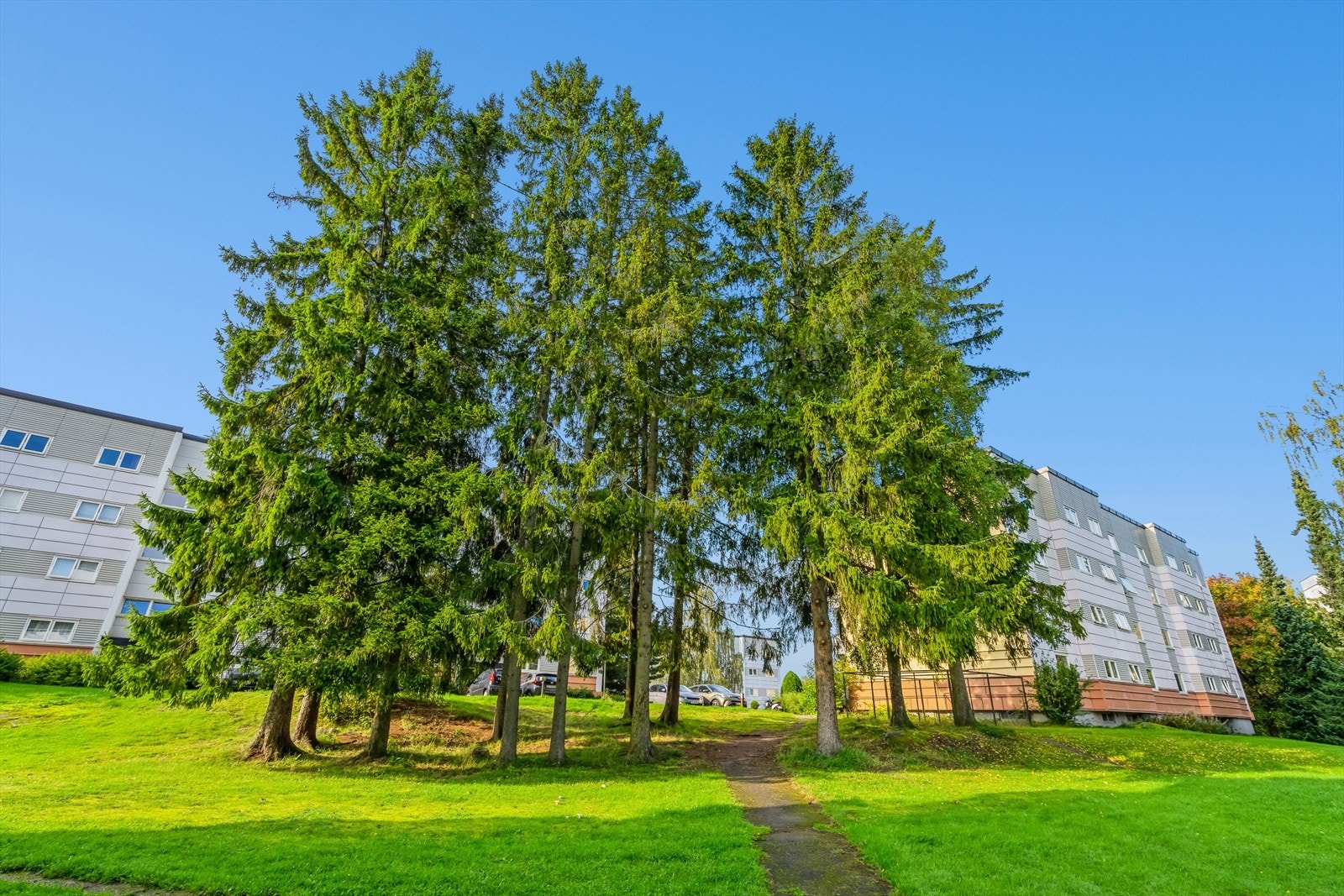 Hyggelige grøntområder i borettslaget. Galleribilde