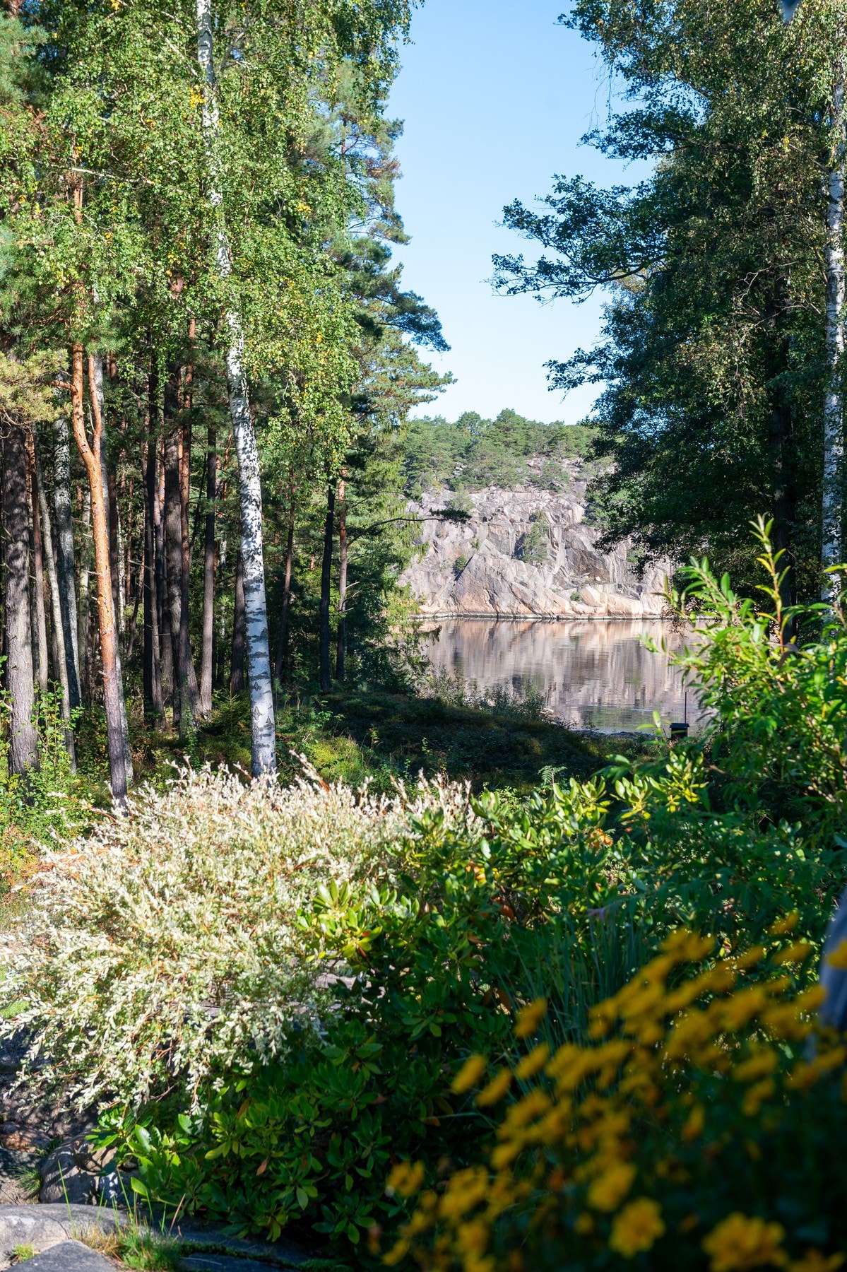 Buskene og blomstene på eiendommen smelter vakkert inn i landskapet. Galleribilde