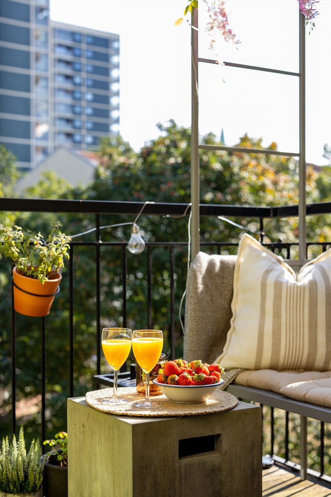 Her har du formiddagsol Galleribilde