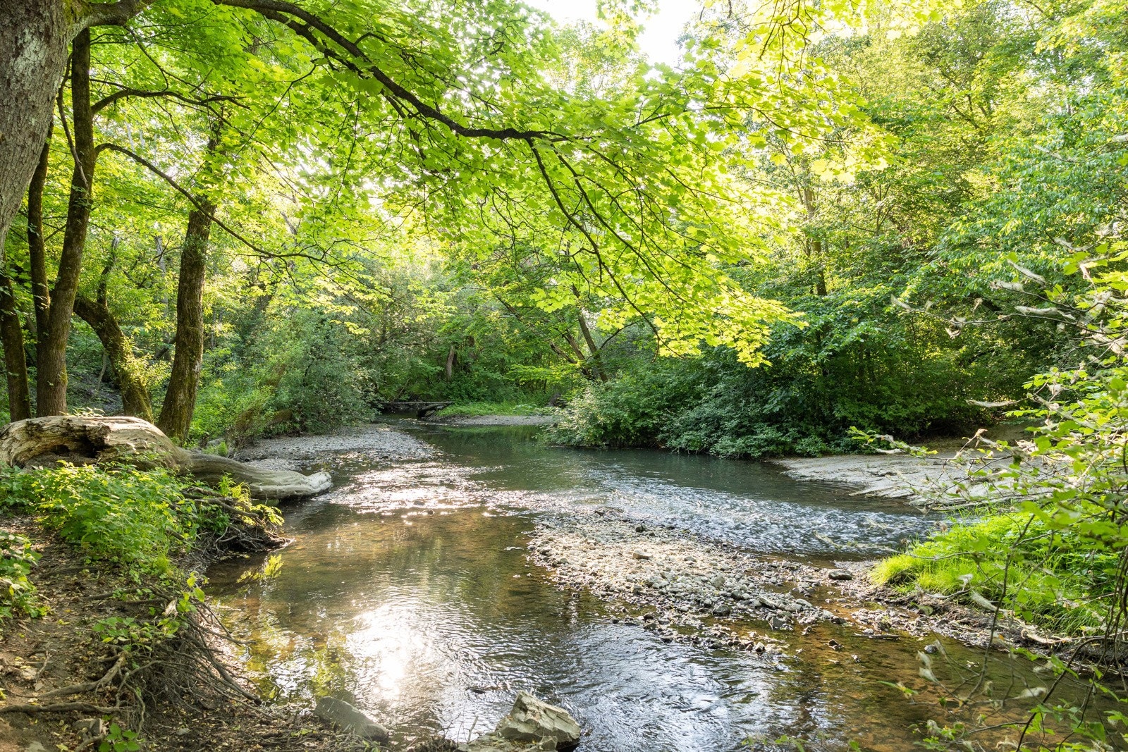 Her er det et stort nett av turstier og sykkelveier. I tillegg ligger den nylig oppussede Svartdalsparken like nedenfor. Galleribilde