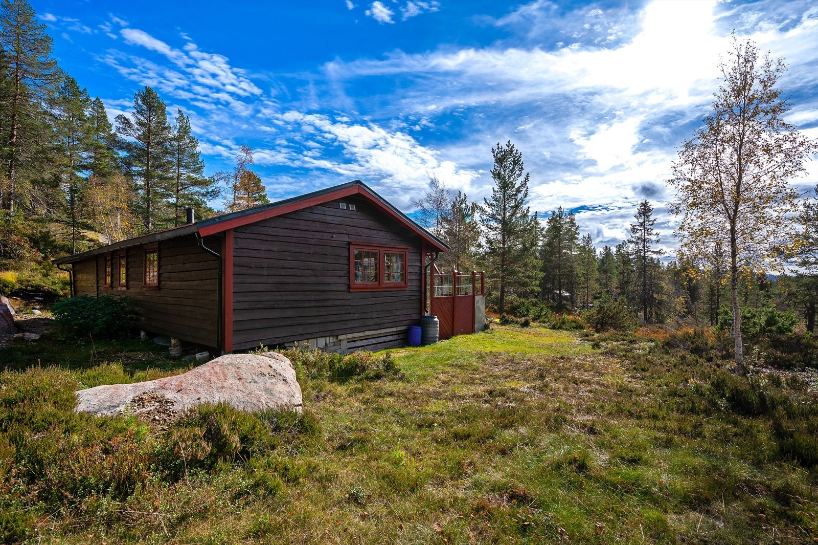 Fint terreng rundt hytta Galleribilde