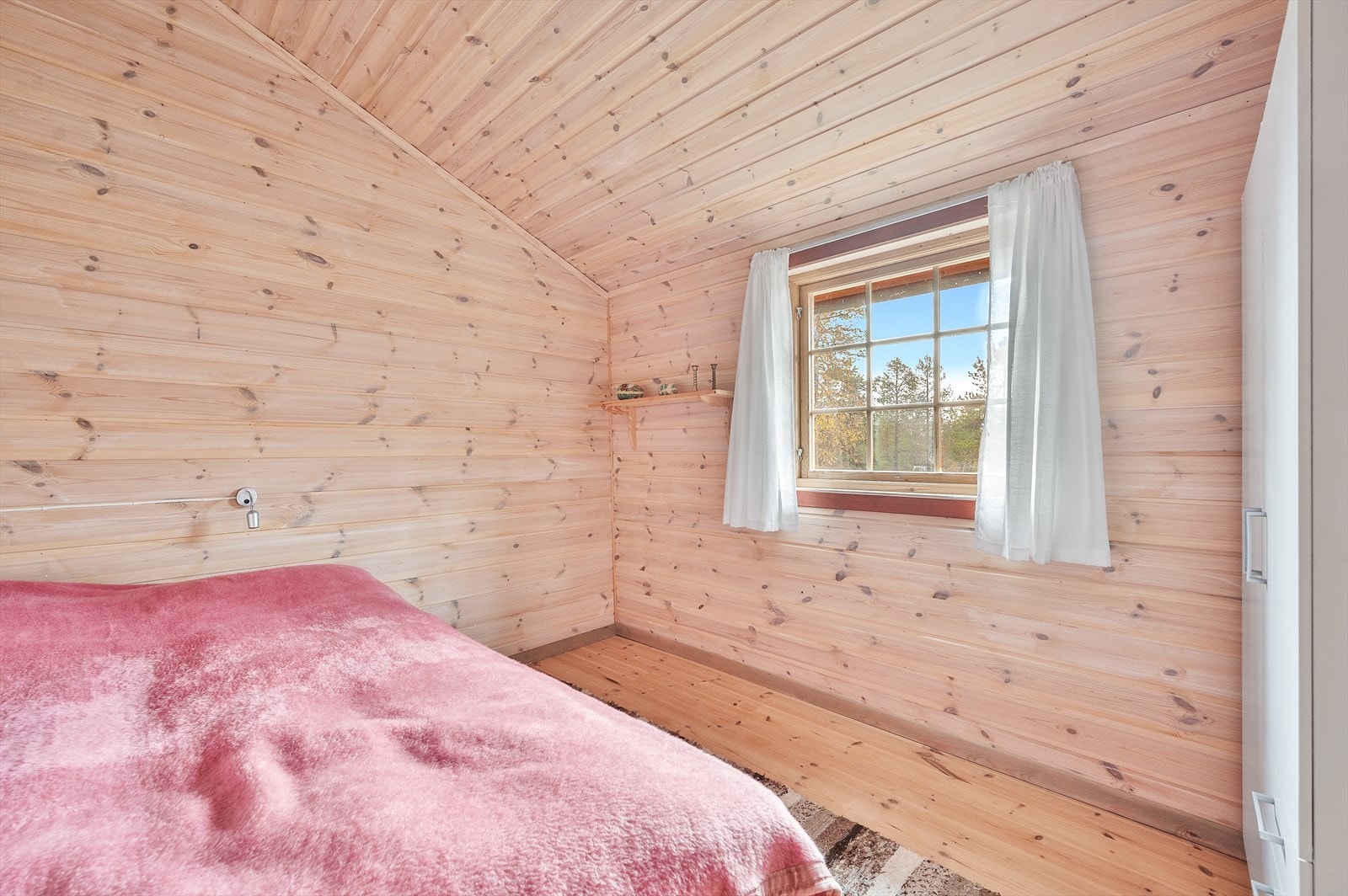 TBB_9534.jpg Galleribilde