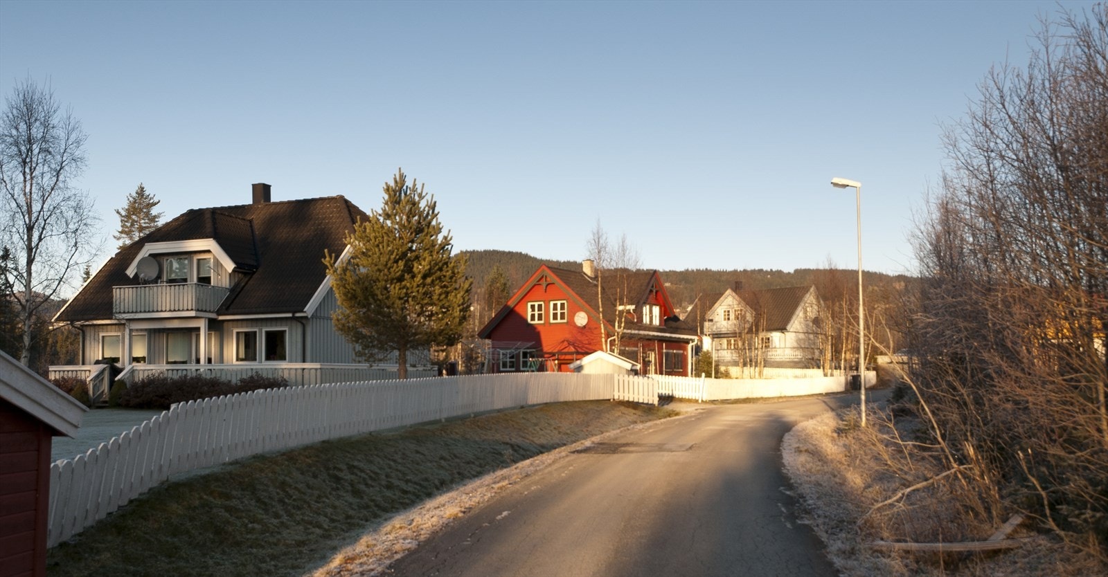 Bilde fra Hovdskogen Galleribilde