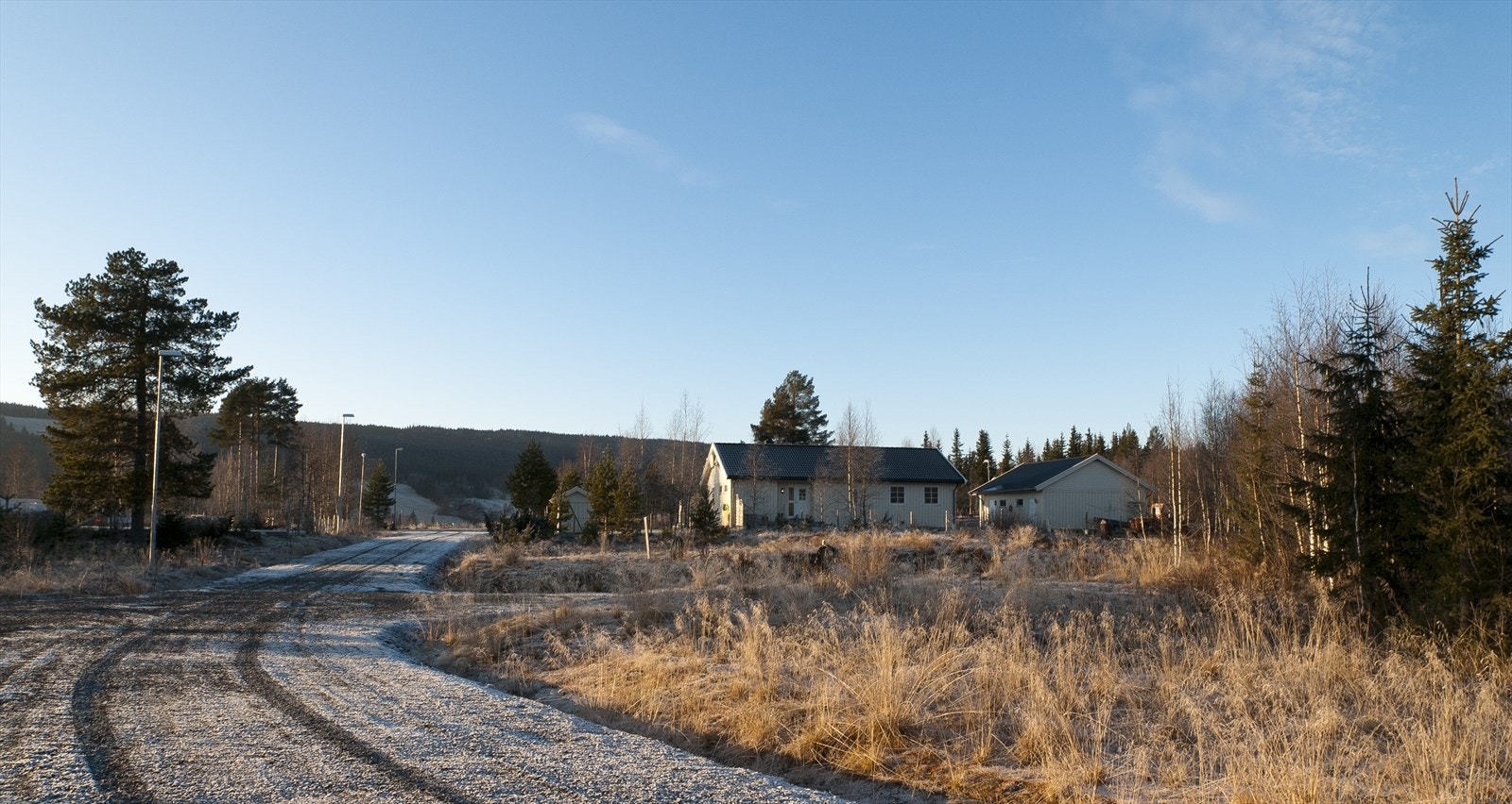 Bilde fra Hovdskogen Galleribilde