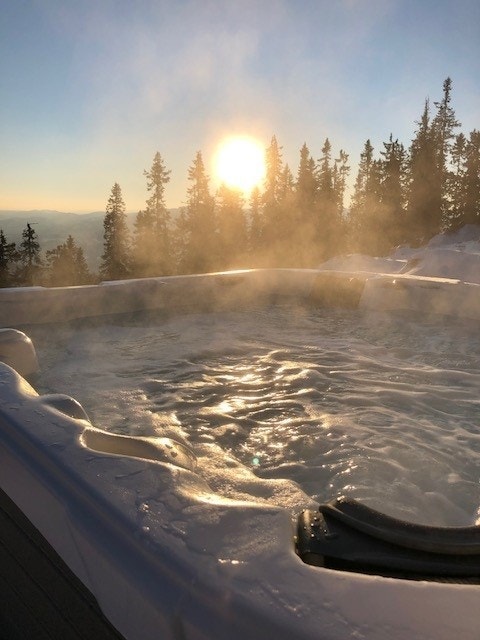 Selgers eget bilde. Galleribilde