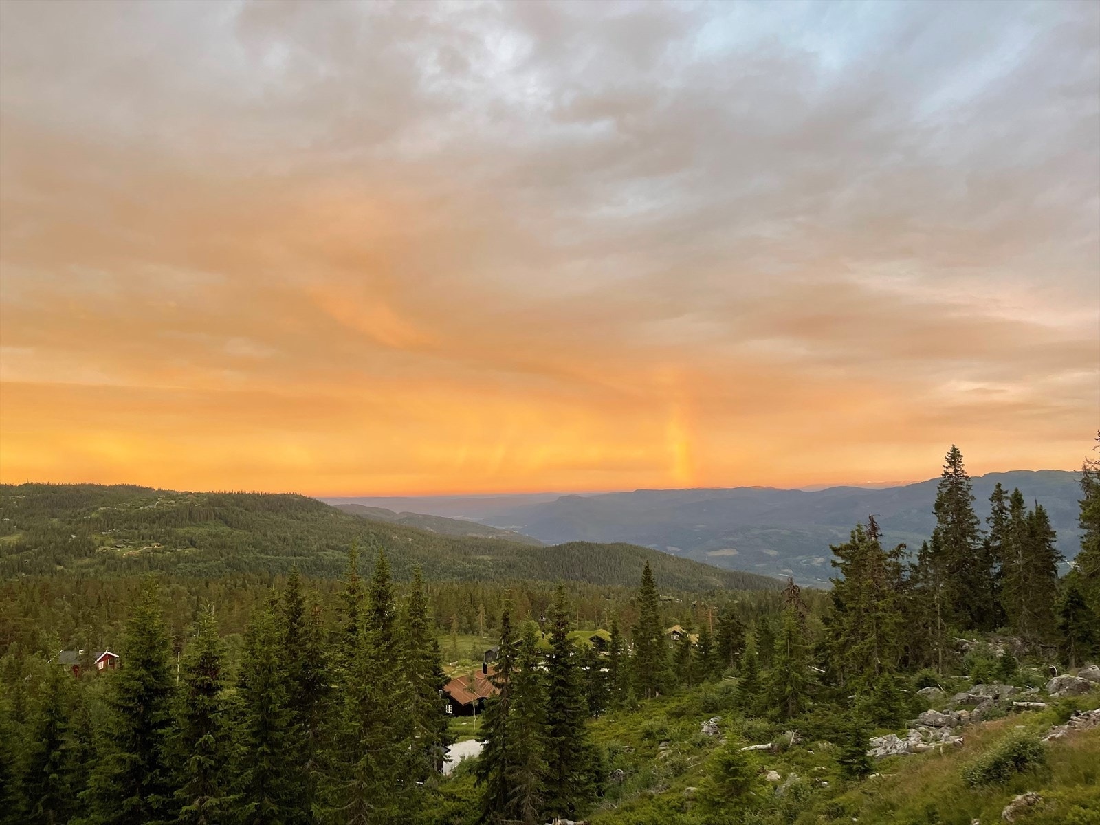 Selgers eget bilde. Galleribilde