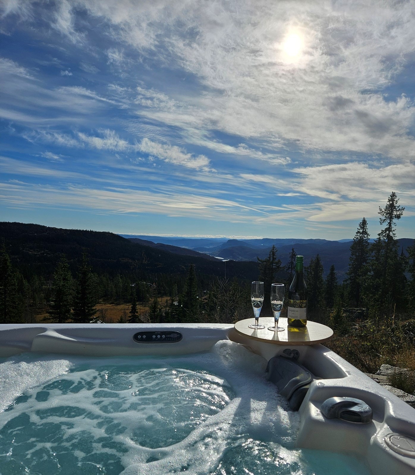 Selgers eget bilde. Galleribilde