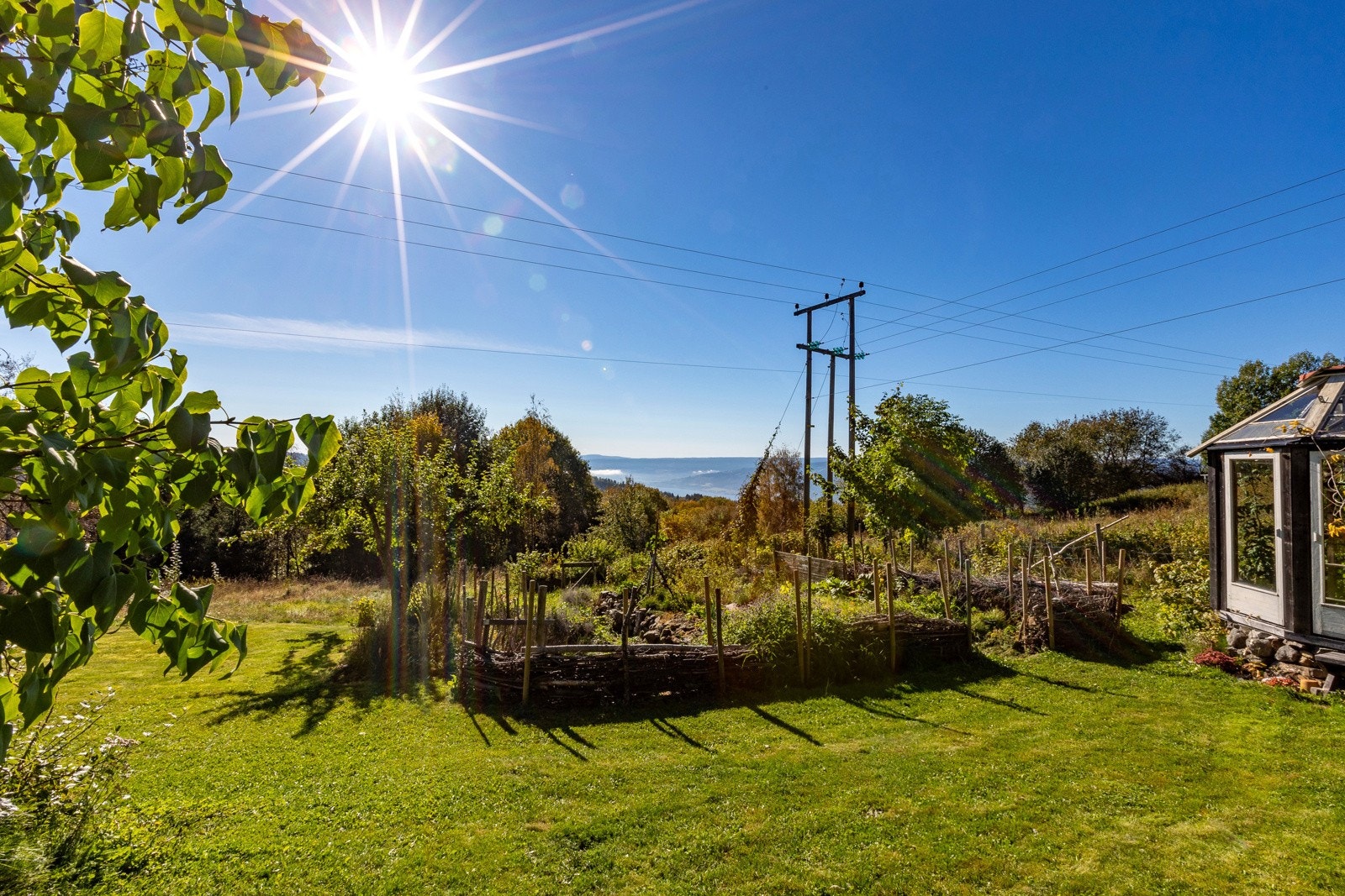 Hagen, med egen kjøkkenhage Galleribilde