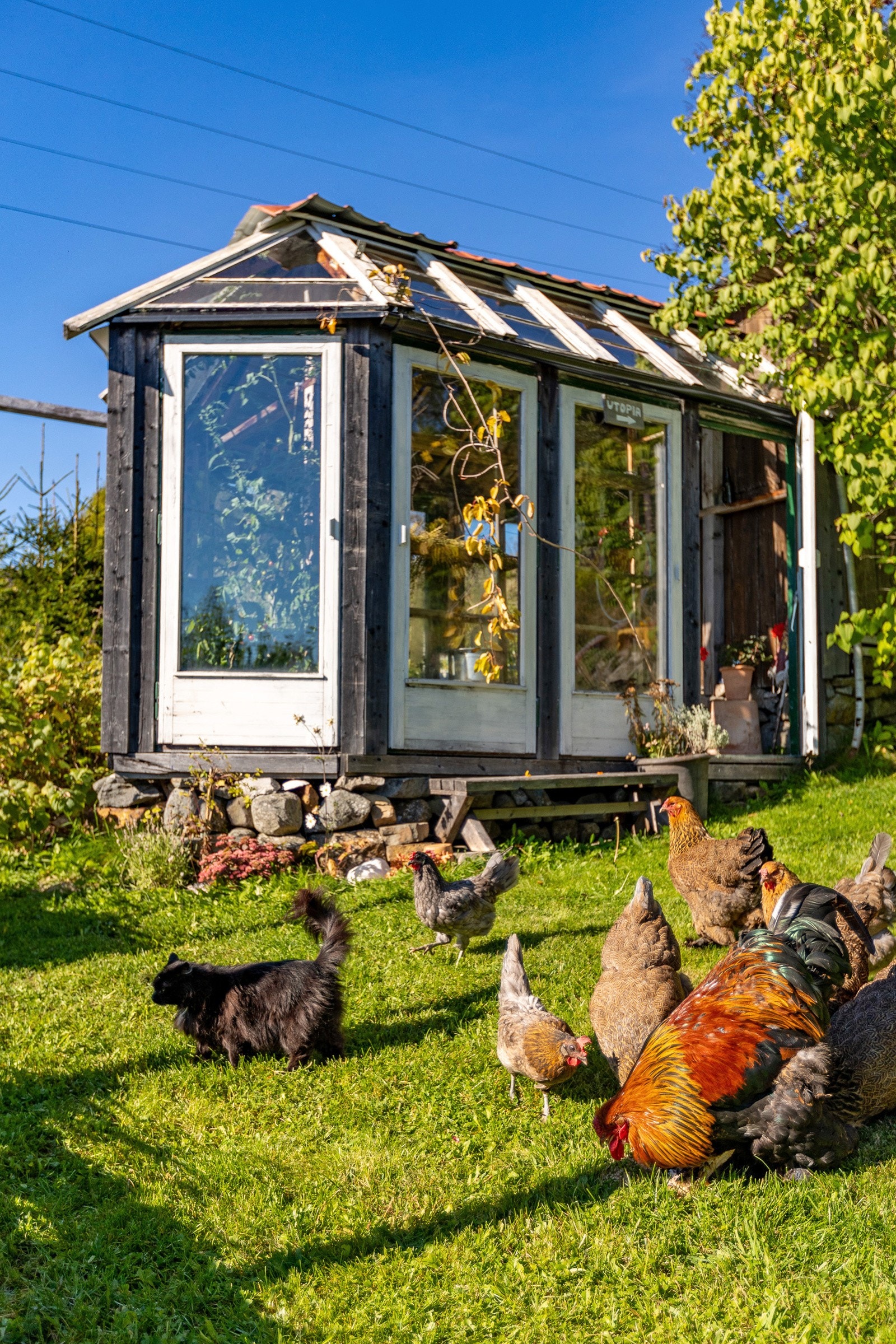 Her er et mangfold av liv med både to beinte og firbeinte husdyr Galleribilde