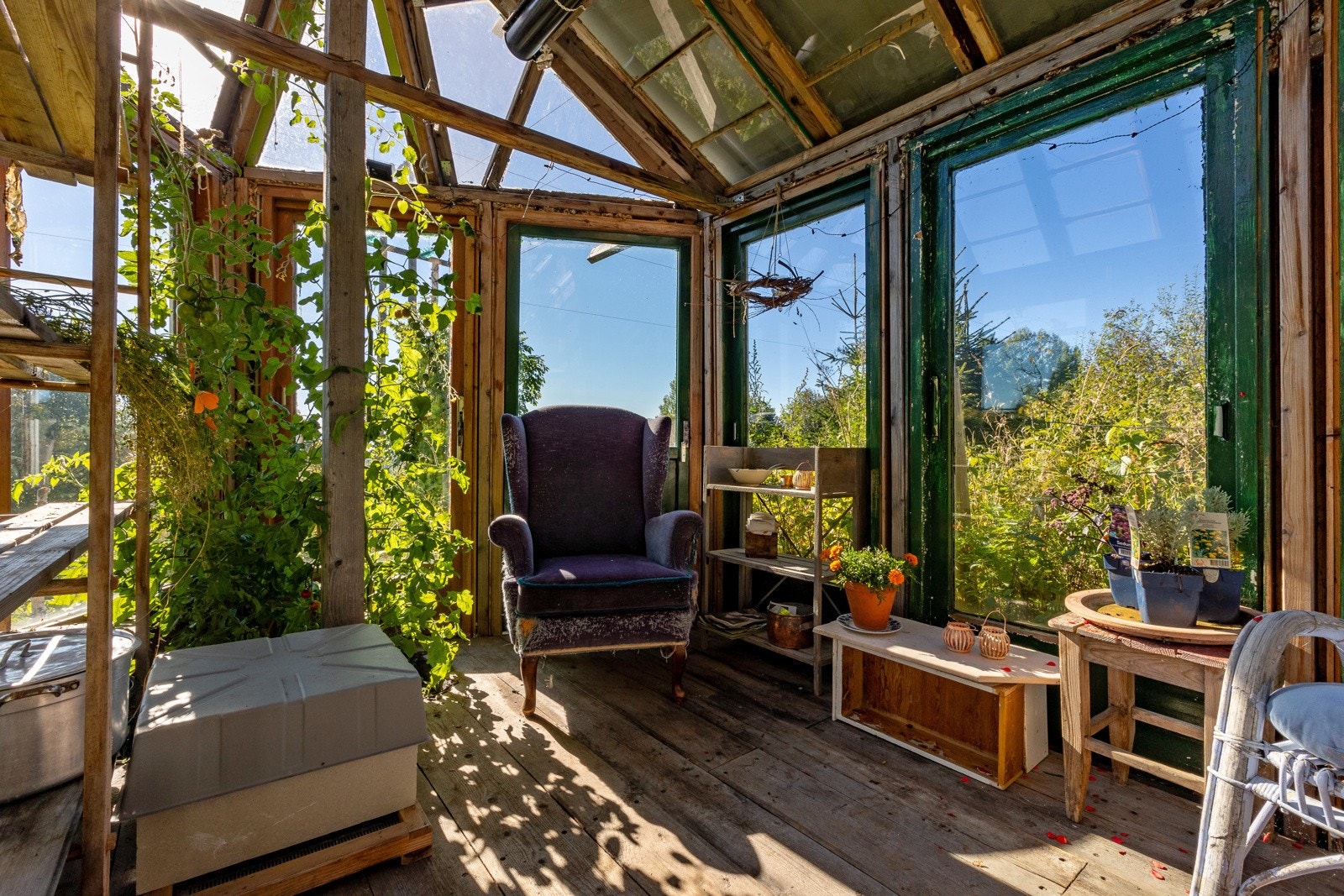 Drivhuset kan også benyttes som en koselig oppholdskrok/lesekrok eller bare nyte stillheten Galleribilde