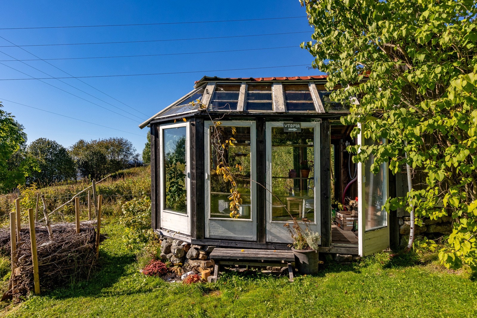 Drivhuset, gode muligheter for å dyrke sitt eget Galleribilde