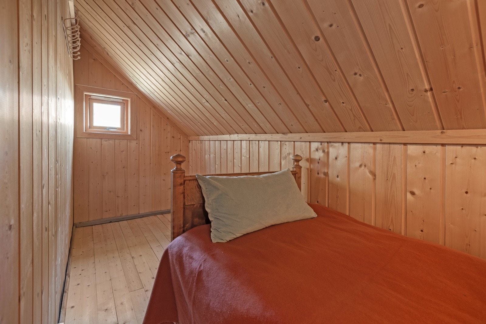 Kottet på den andre siden Galleribilde