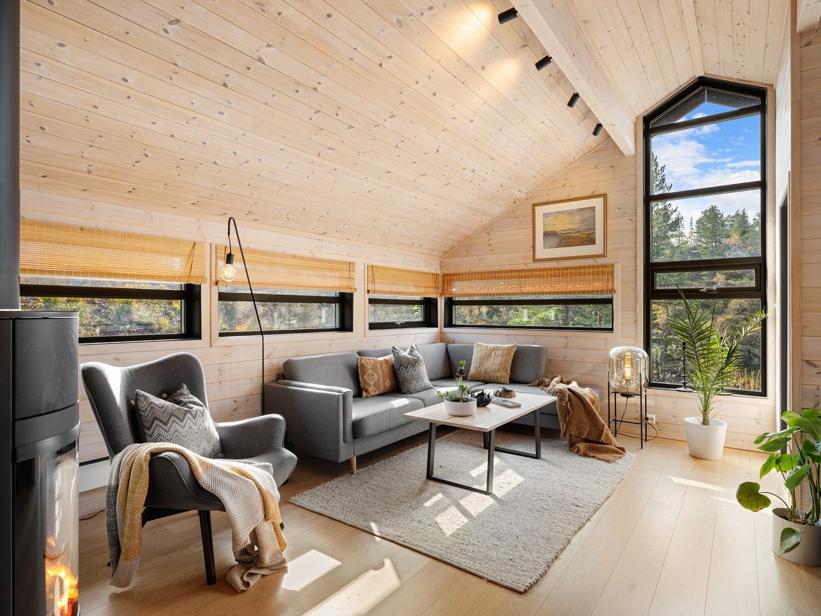 Herlig naturlig lys inn gjennom vinduer på alle kanter. Galleribilde