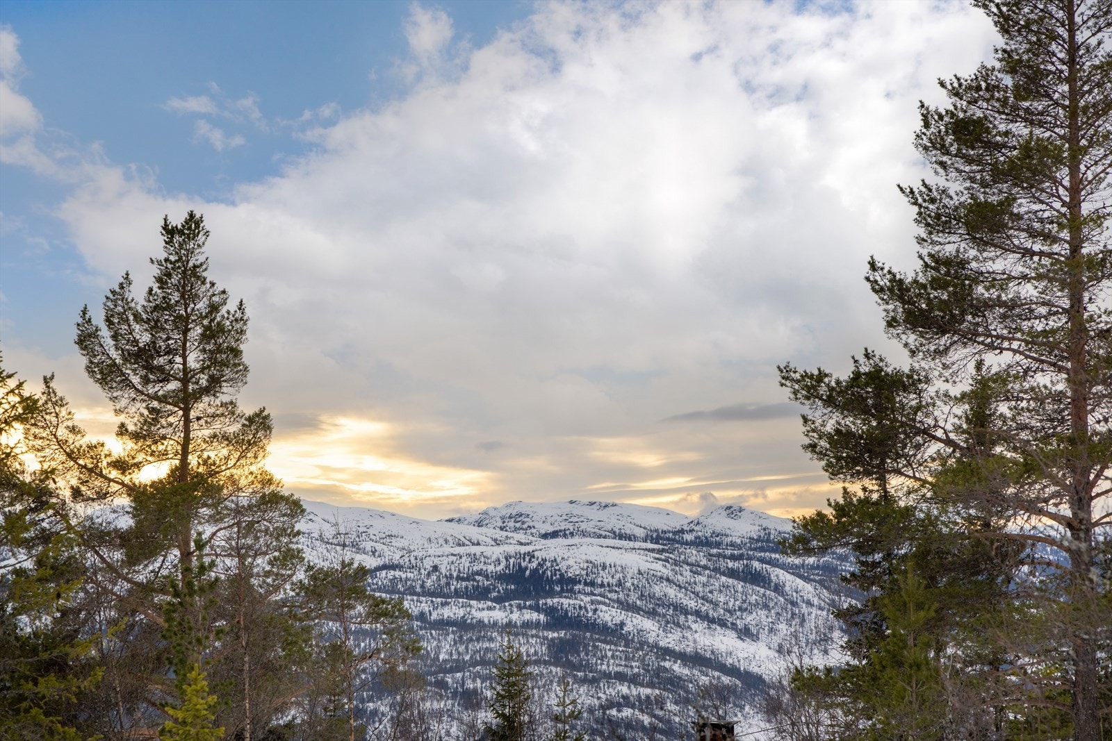 Fantastisk utsikt og gode solforhold. Galleribilde