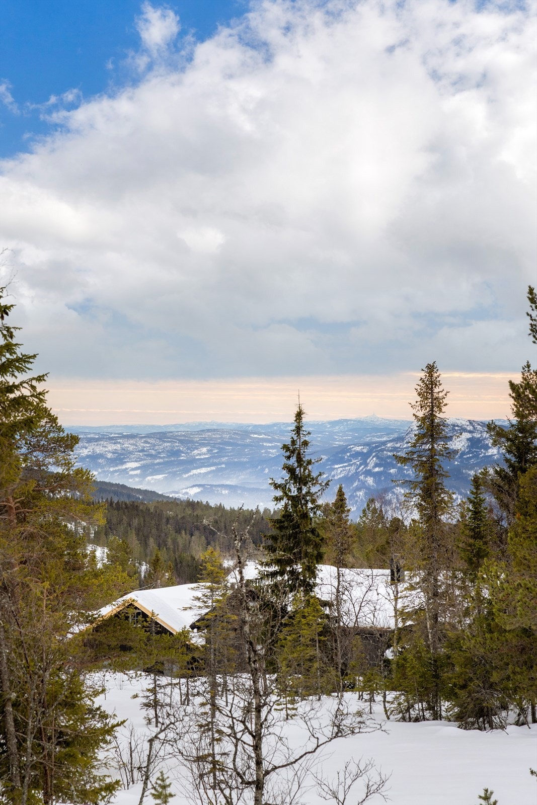 Utsikt. Galleribilde
