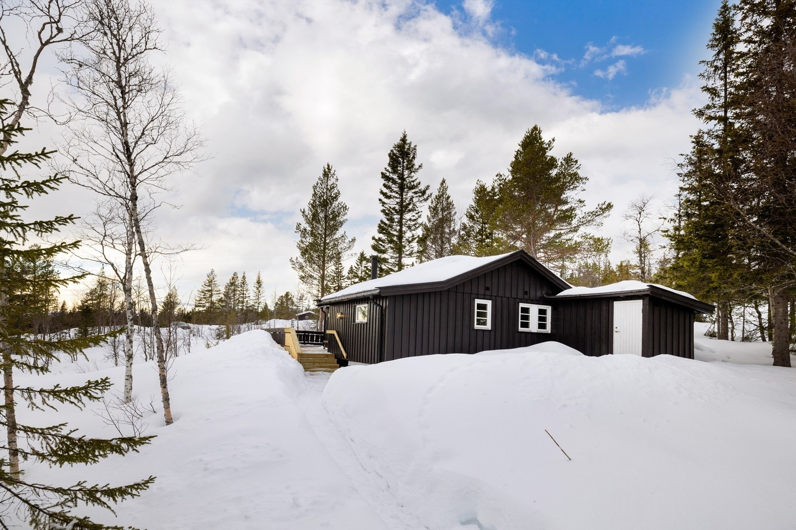 Helårs bilvei frem til hytta. Galleribilde
