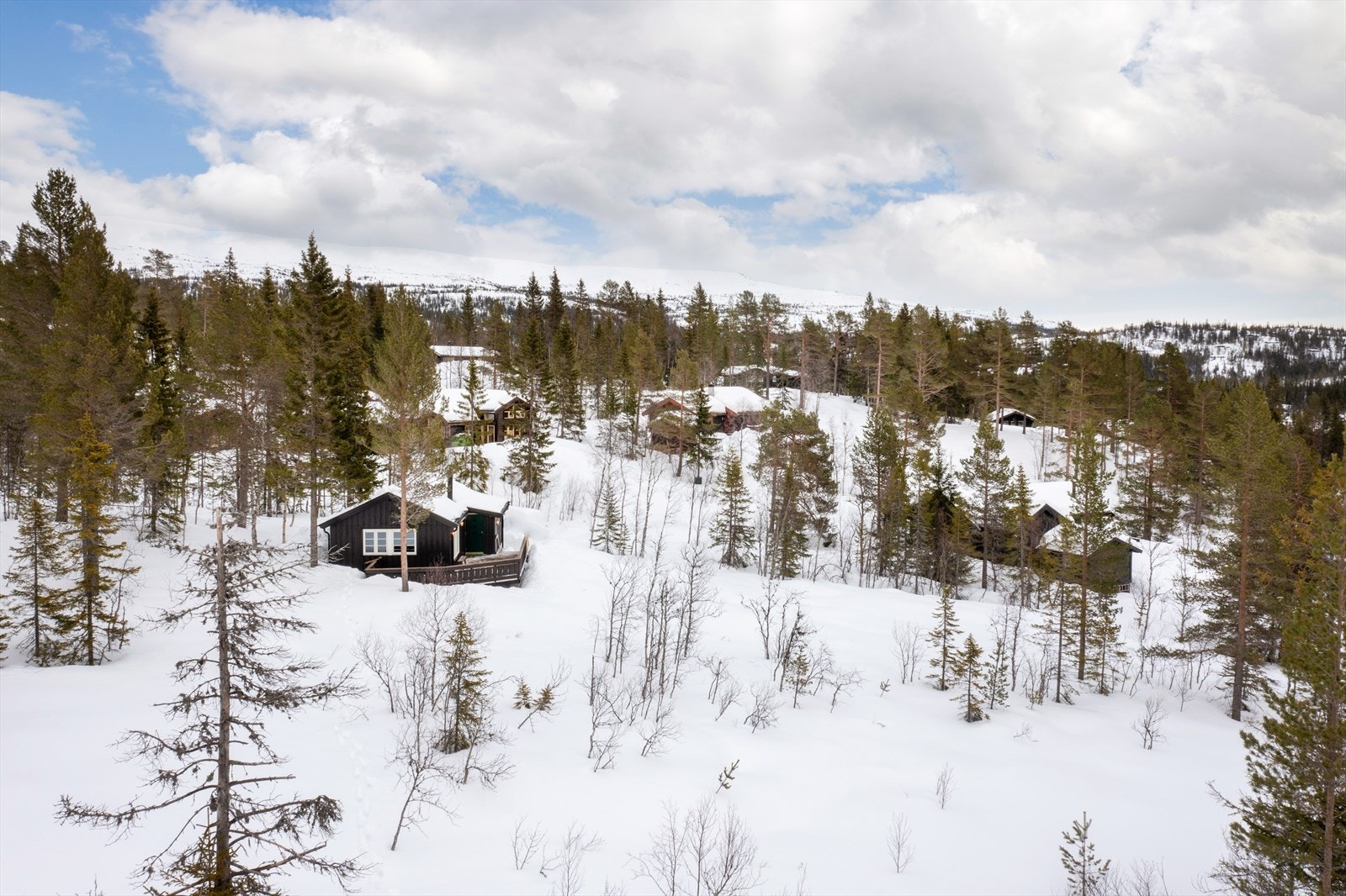 Velkommen til visning! Galleribilde
