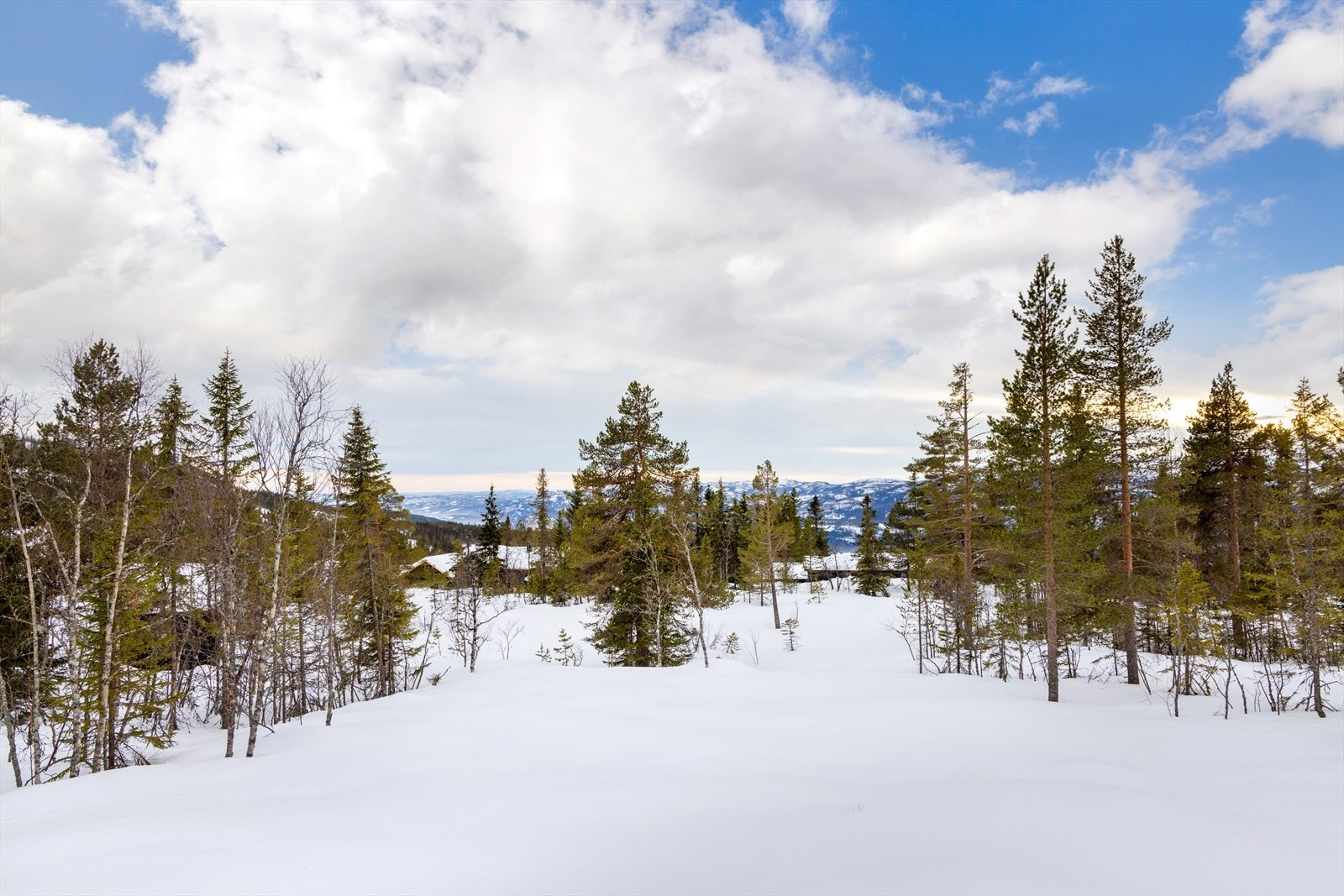 Utsikt. Galleribilde