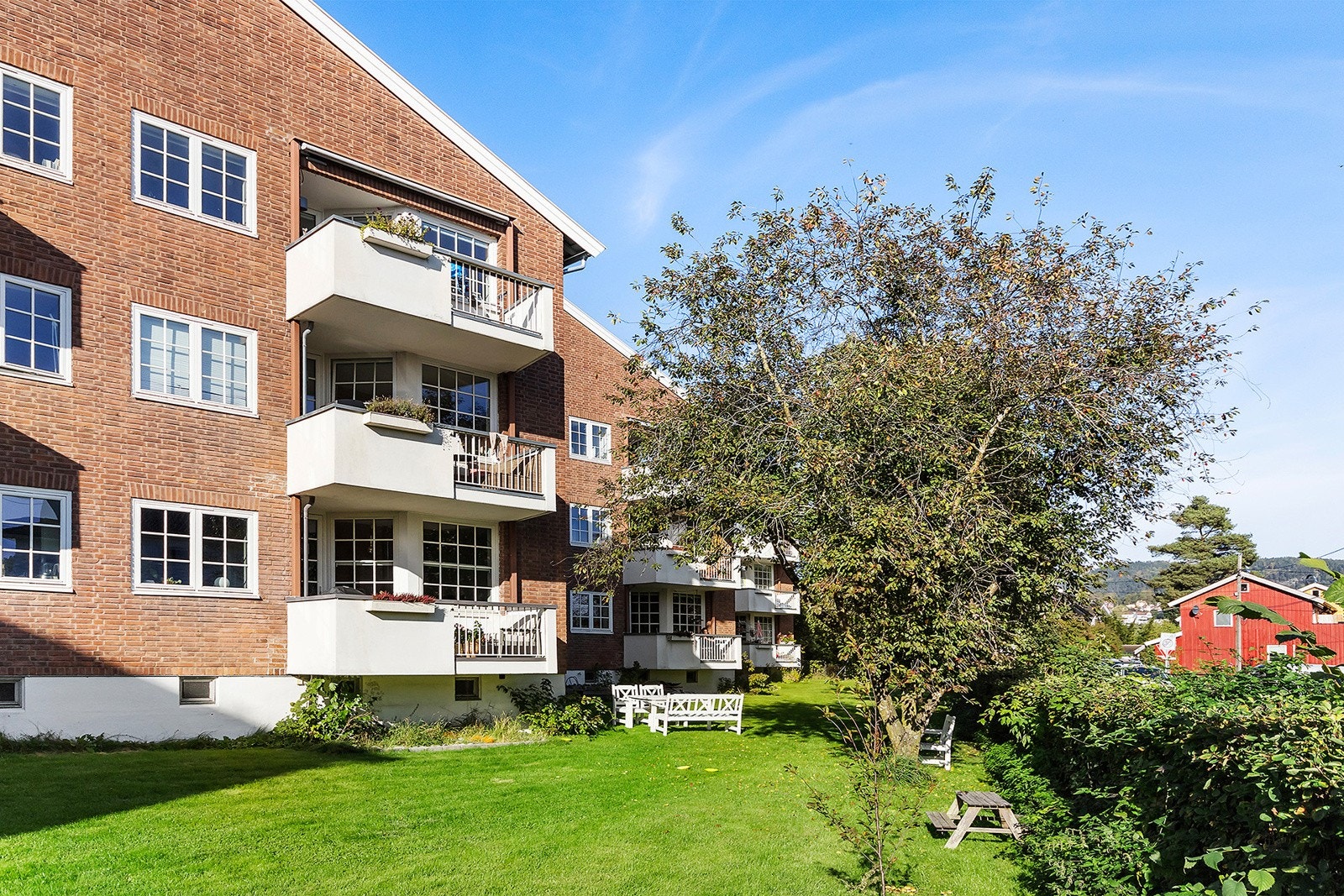 Felles hage Galleribilde