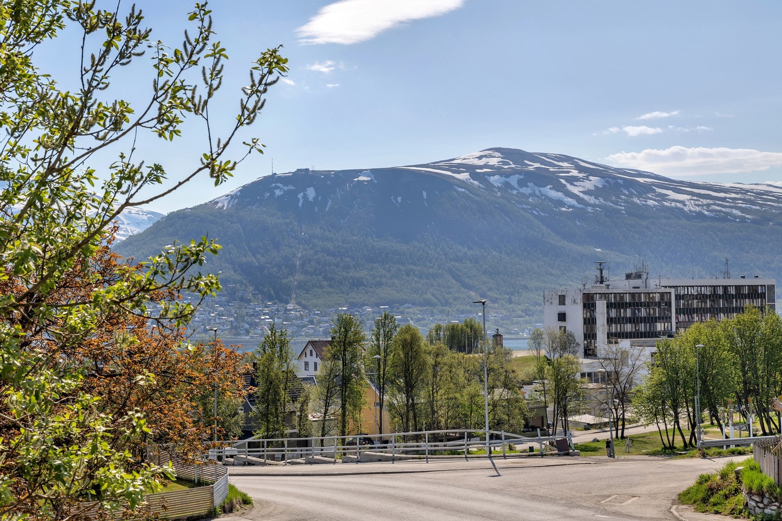 Fin utsikt mot fastlandet og Fløya Galleribilde