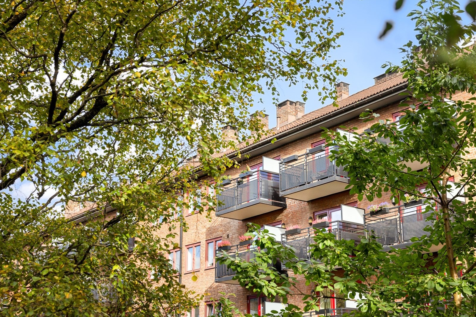 Dette borettslaget tilbyr sykkelboder i hver blokk, en skismørebod i Maridalsveien 227 C, og en gjesteleilighet til utleie. Galleribilde
