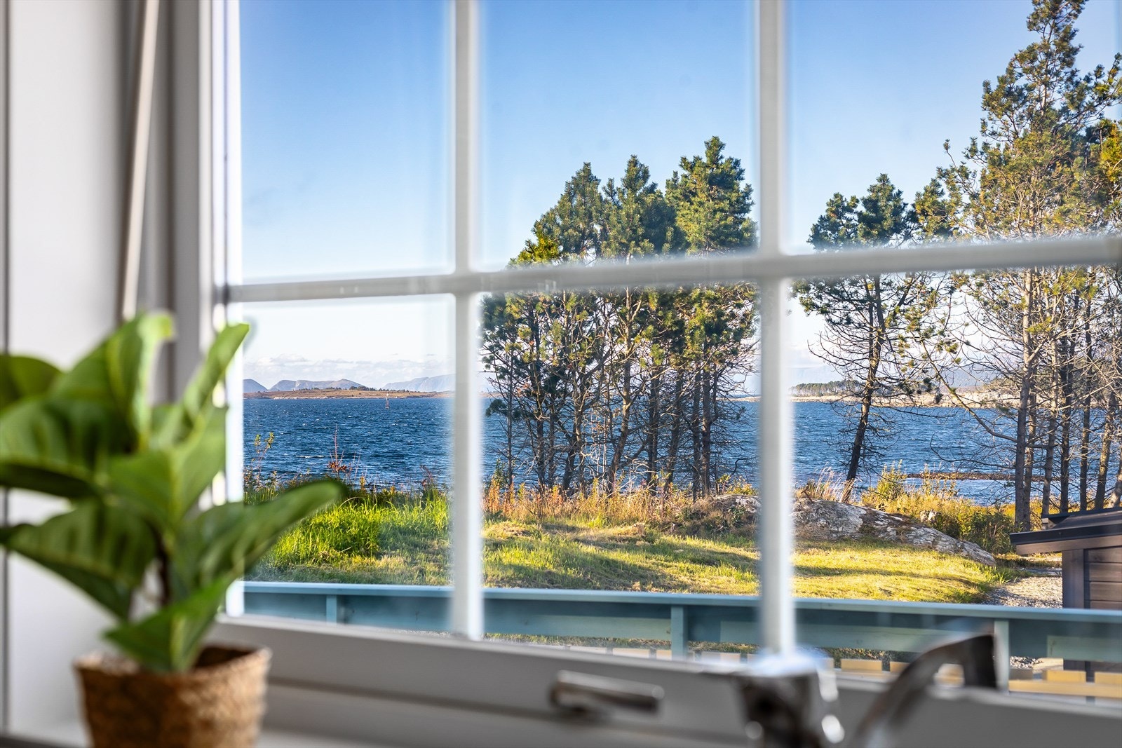 Utiskta frå kjøkkenglaset Galleribilde