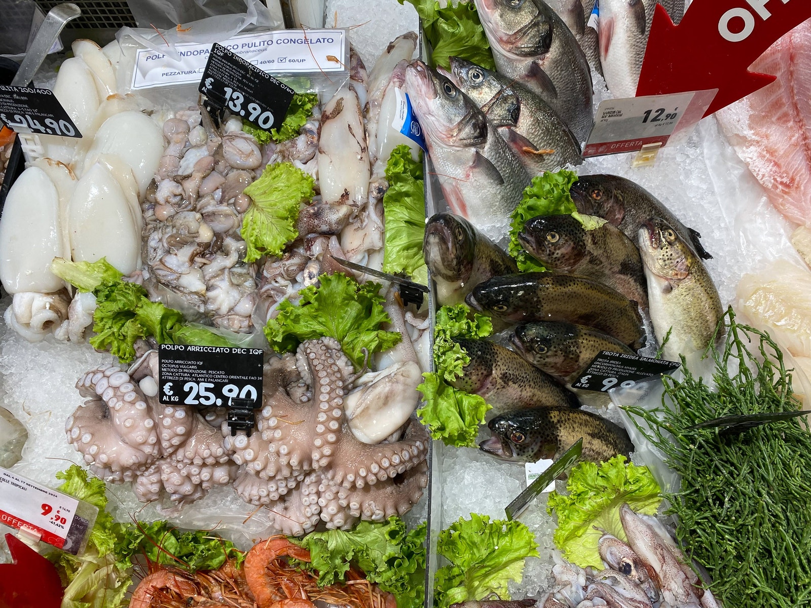 Fiskedisken i en av supermarkedene i nabobyen Orte er fantastisk. Orte ligger under 10 minutter unna med bil. Galleribilde