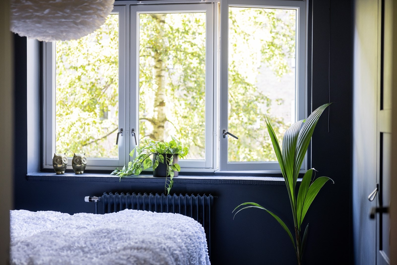 Trær på utsiden av rommene gir et hyggelig utsyn og skjermer for innsyn. Galleribilde