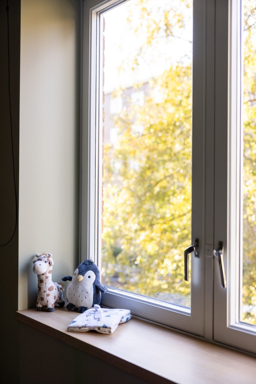 Her er det også hyggelig grønt utsyn. Galleribilde