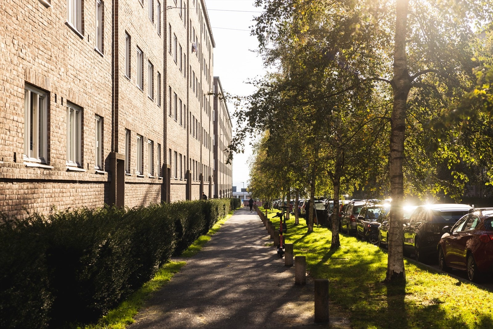 Utenfor leiligheten er det en hyggelig trasé med beplantning og trær. Galleribilde