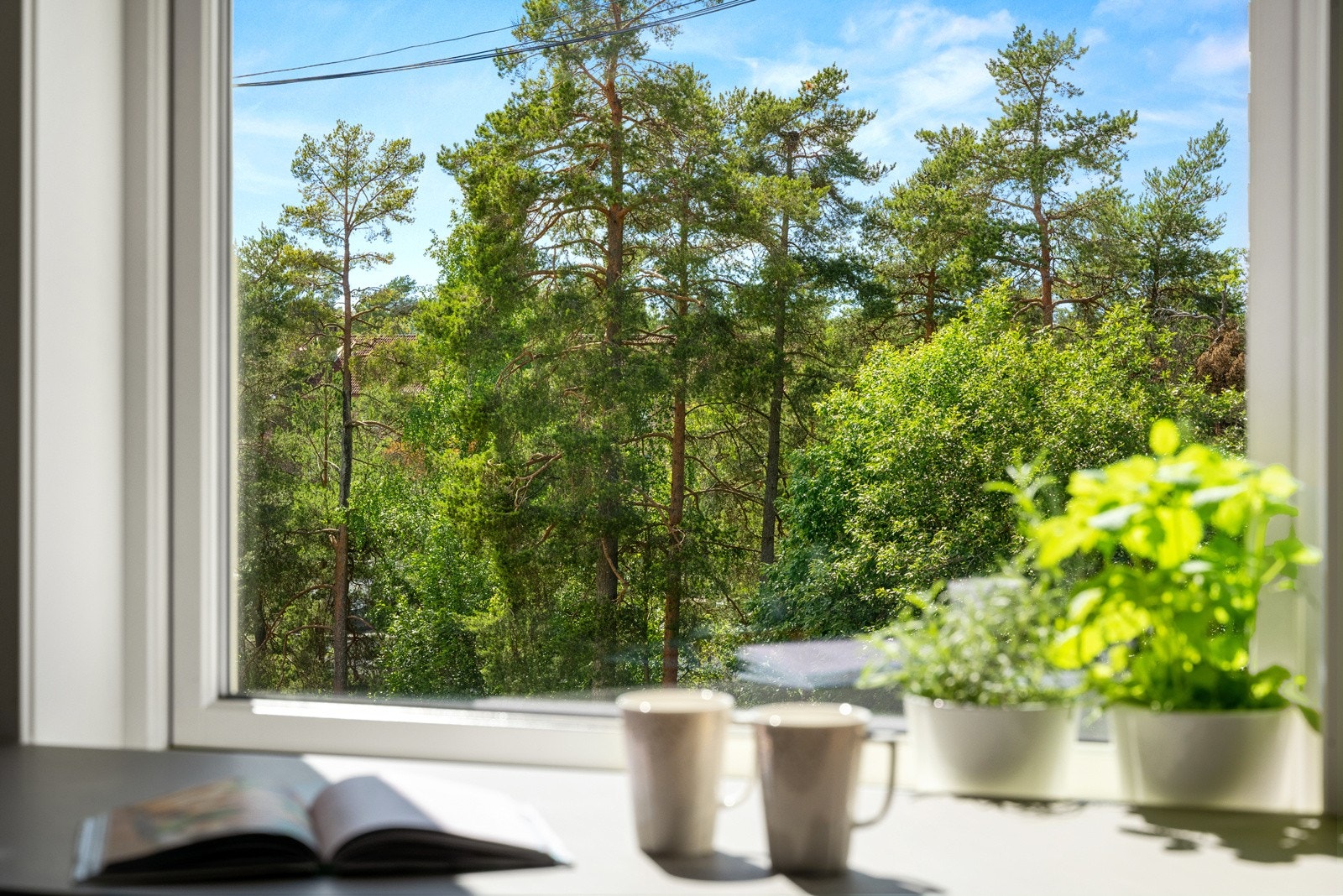 Herfra er det flott utsyn over borettslagets grøntarealer. Et perfekt sted å starte dagen. Galleribilde