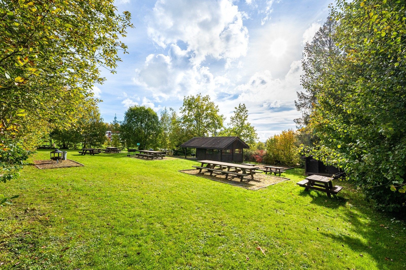 Bjørneparken, her er både store og små på fine dager. Galleribilde