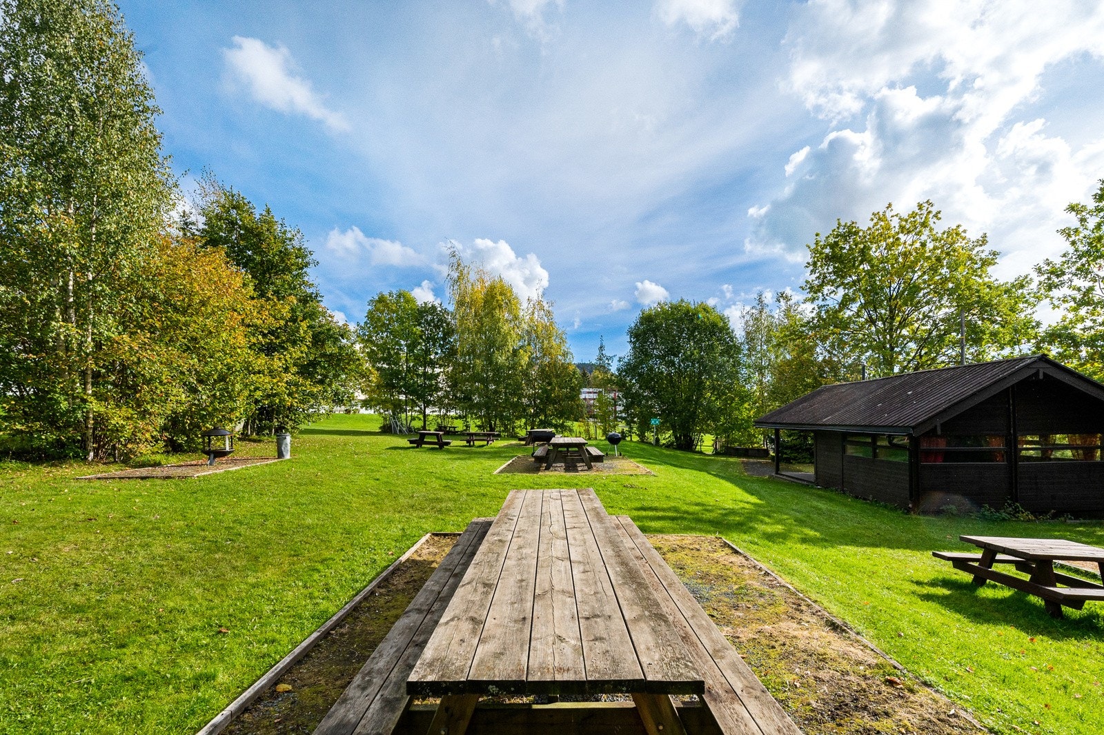 Bjørneparken, her er det flere steder man kan sitte og grille. Galleribilde