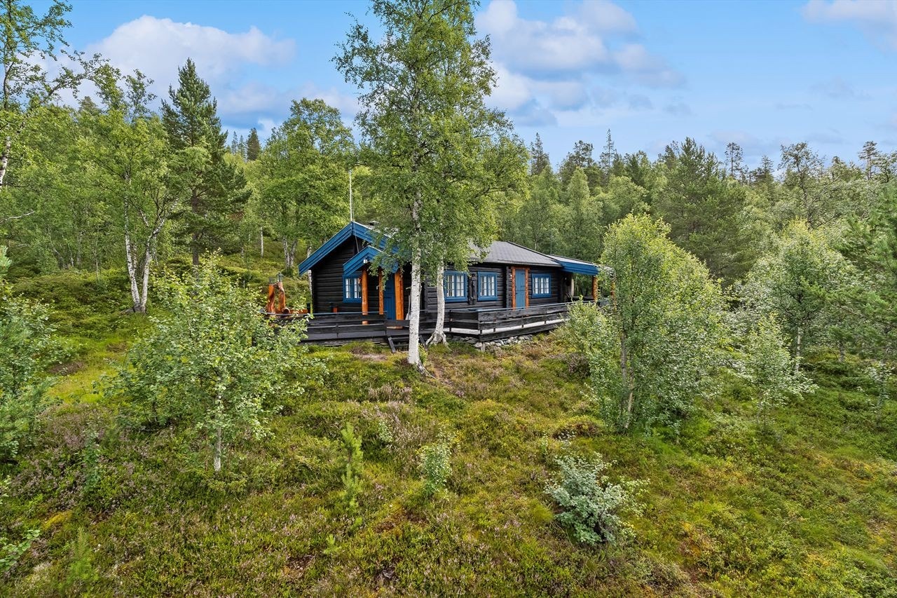 Velkommen til Haugvangen 5! Galleribilde