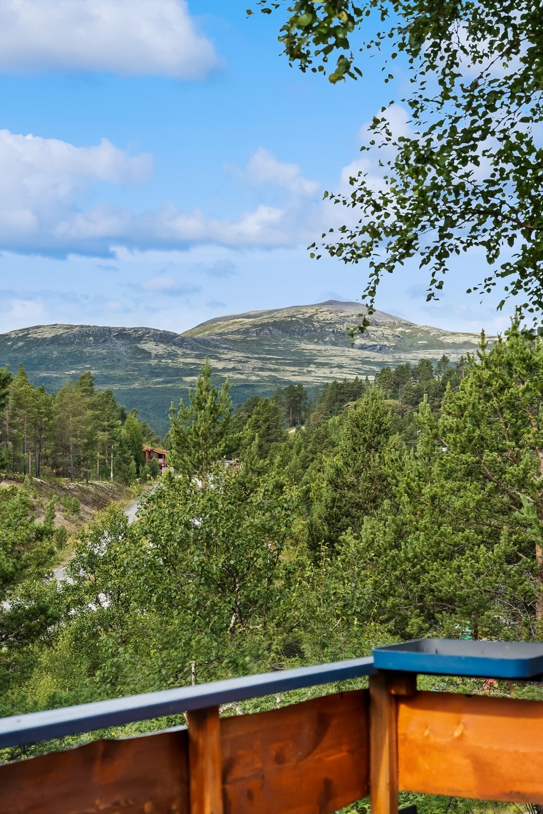 Flott utsikt til fjellområdene fra eiendommen Galleribilde