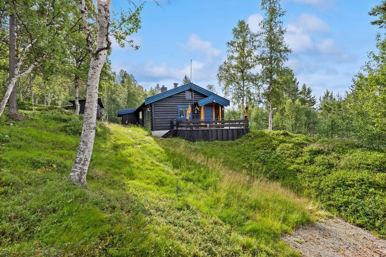 Fasade og innkjøring til eiendommen Galleribilde