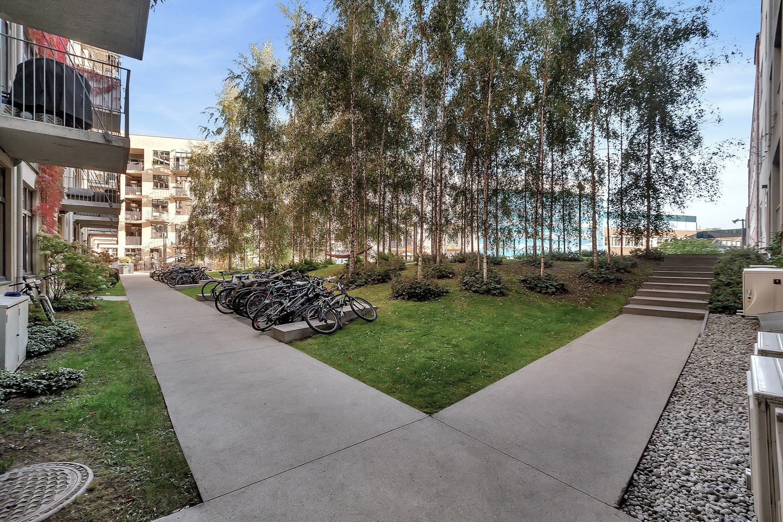 Sykkelparkering i felles bakgård. Galleribilde