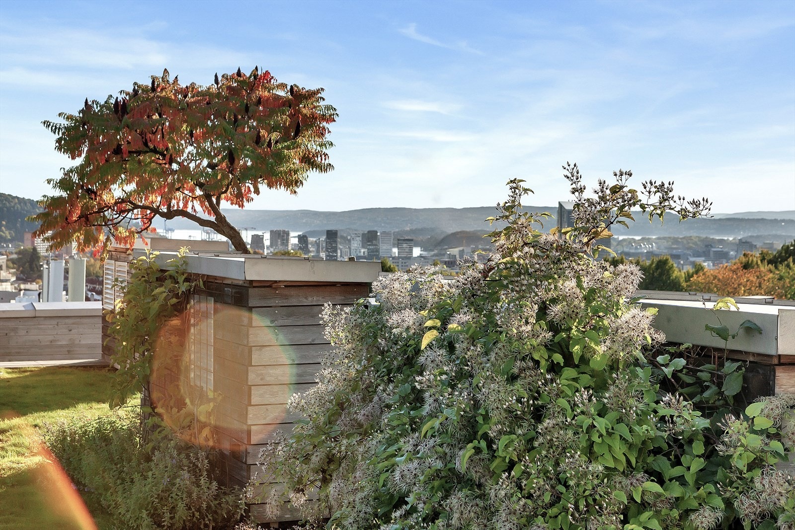 Takterrassen har nydelig utsikt over Oslo. Galleribilde