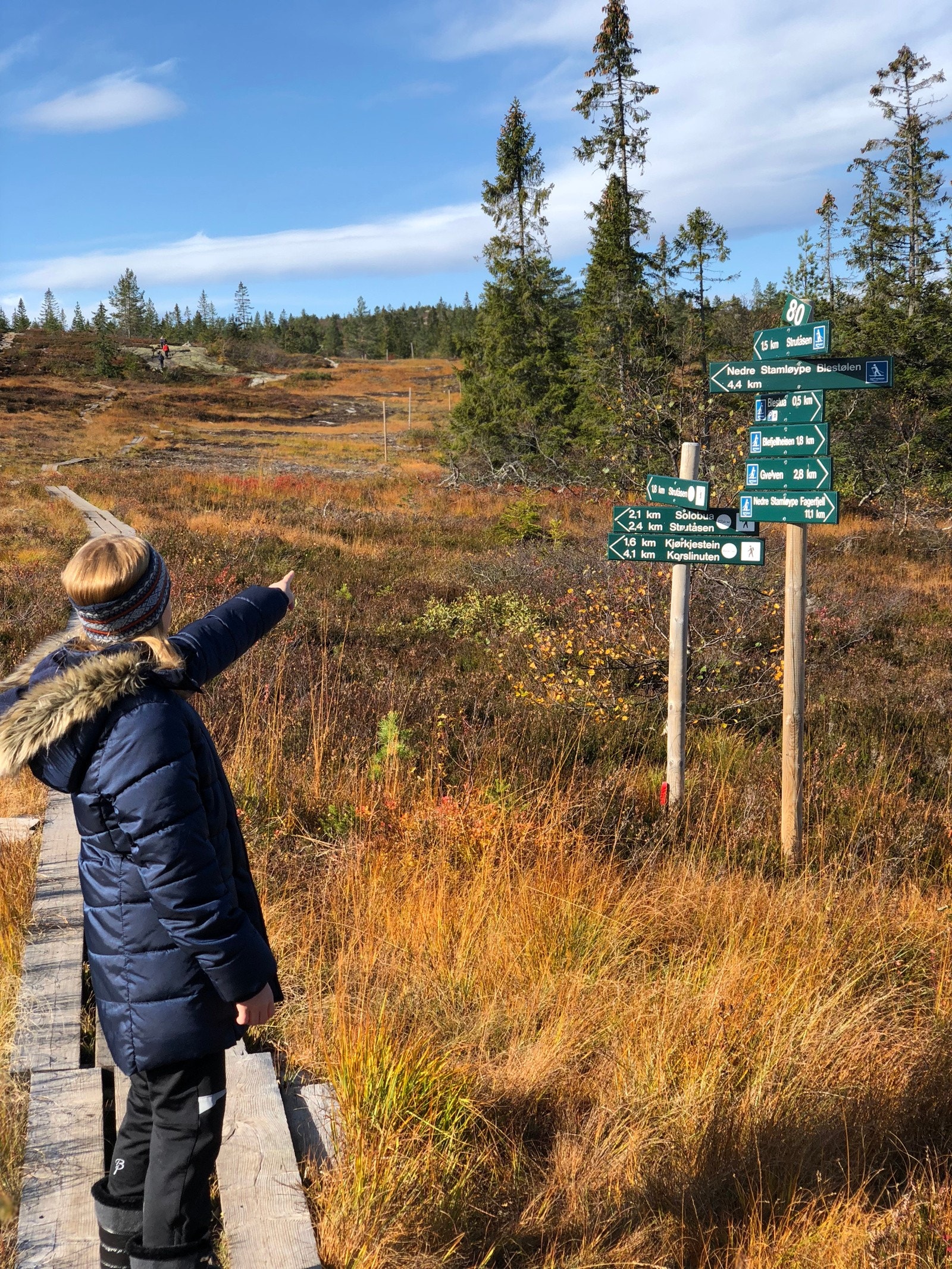 Mange merkede turstier i området Galleribilde