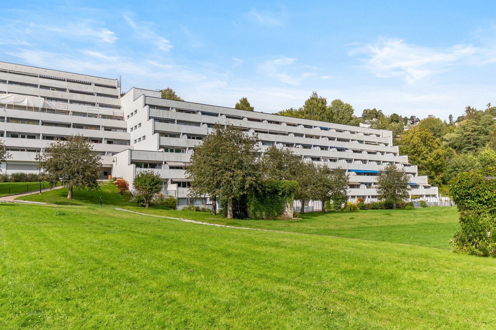 Sameiets fellesareal består av store friområder med lekeplass, gressplen og diverse beplantninger. Galleribilde