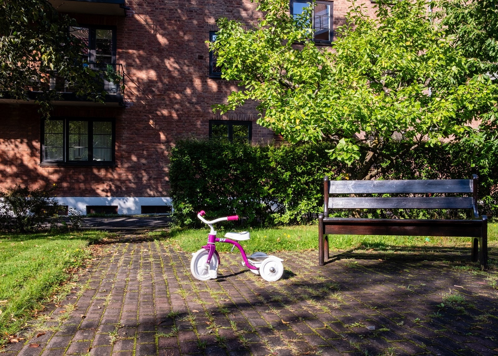 I bakgården er det trær, plen, beplantning, asfalterte
gangveier og sittegrupper. Galleribilde