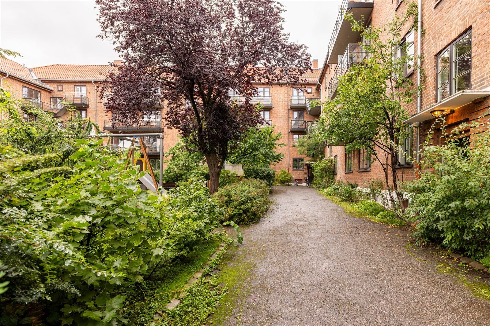 Bakgården er skjermet og rolig og er et fantastisk sted for deg som setter pris på det grønne og hagelivet Galleribilde
