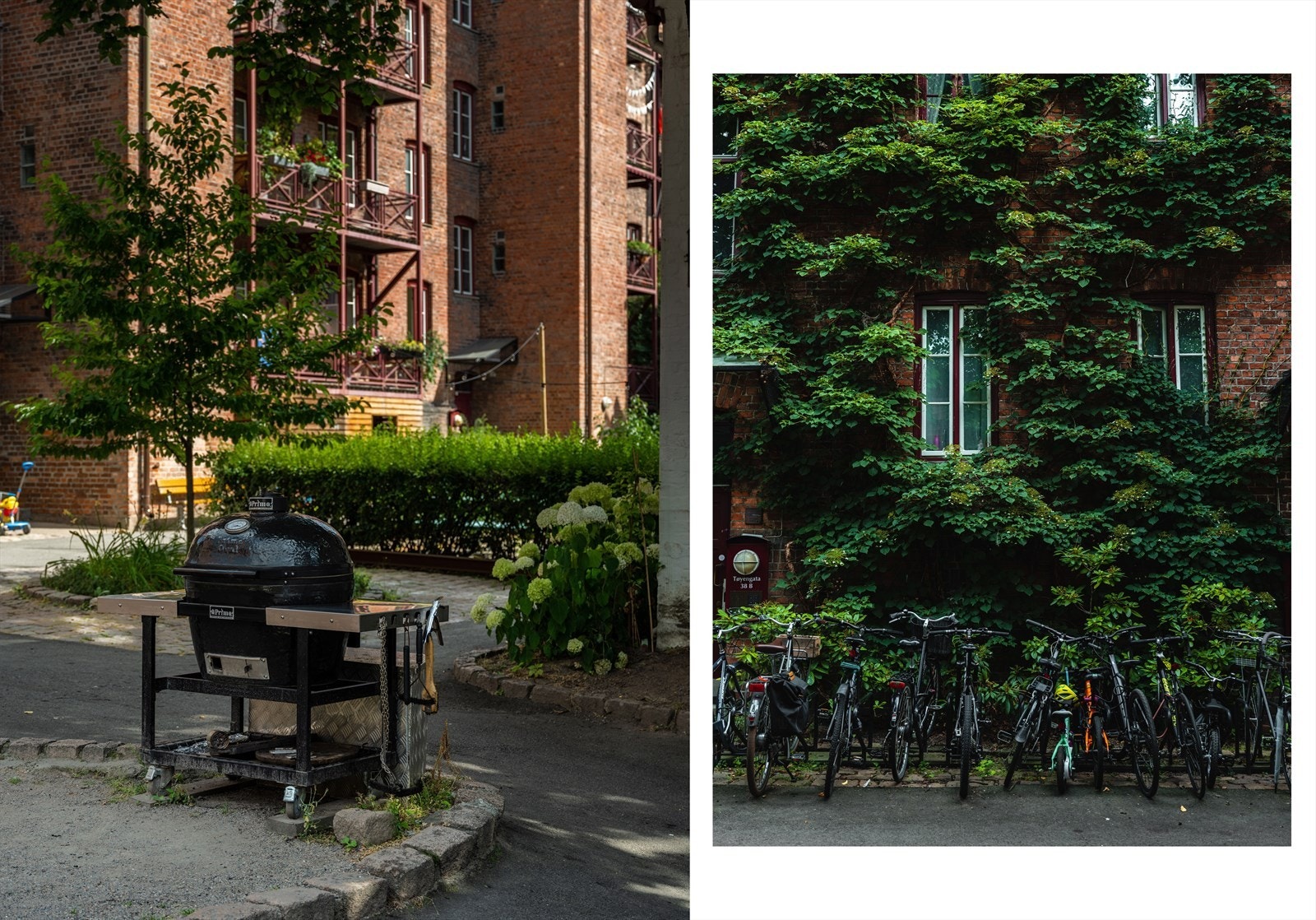 Egen vaktmester i full stilling, som bor i borettslaget, passer på at alt er på stell og at alle har det bra. Galleribilde