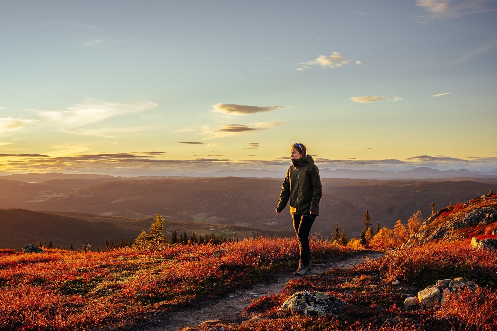 Flott turterreng på snaufjellet Galleribilde