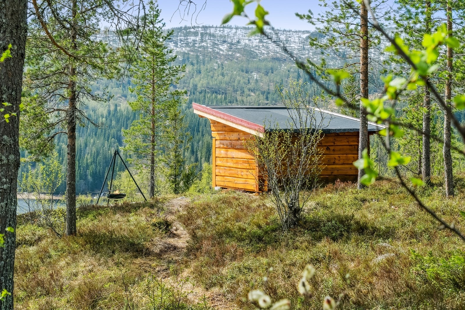 Mot gapahuk. Galleribilde