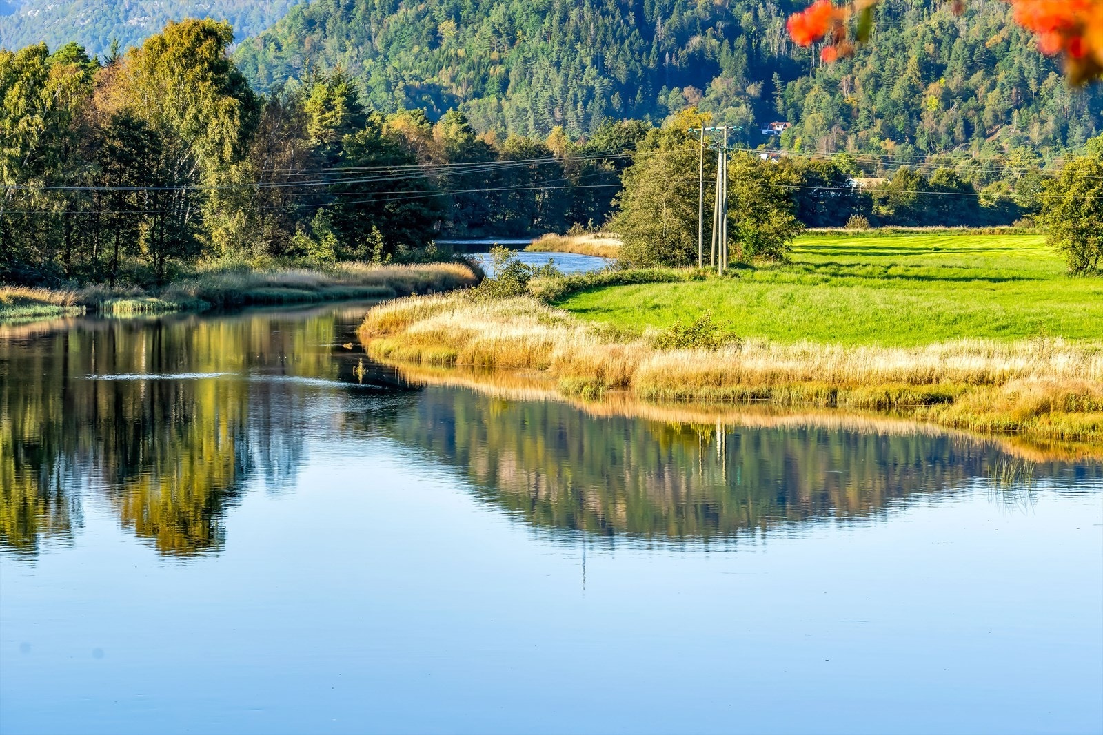 Lygna ligger rett ved leiligheten med fine turområder rundt. Galleribilde