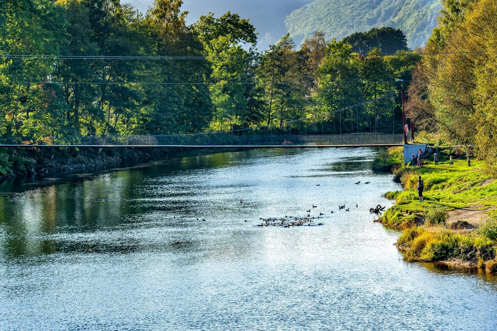 Et av Lyngdals kjennemerket - hengebroa - binder byen og et naturskjønt område sammen. Galleribilde