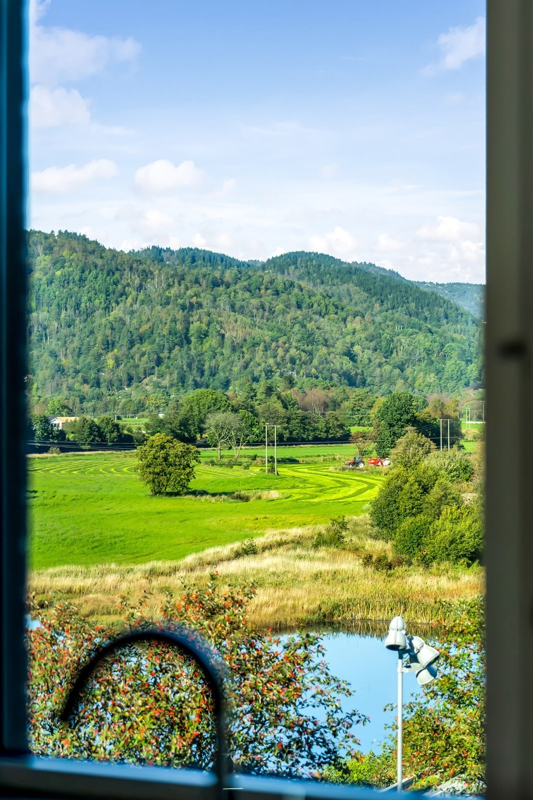 Utsikt mot Lygna og et pent naturlandskap fra kjøkkenet. Galleribilde