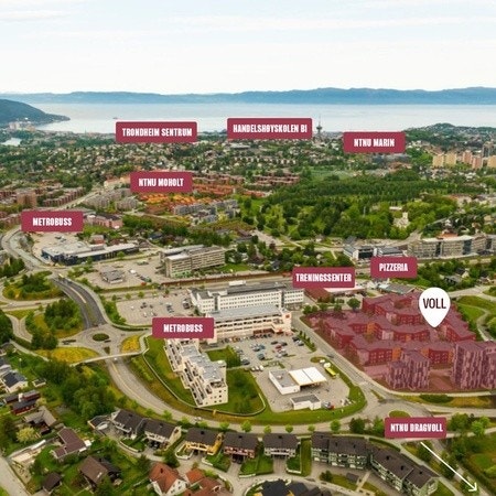 oversiktsbilde Galleribilde